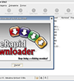 FreeRapid Downloader - náhľad